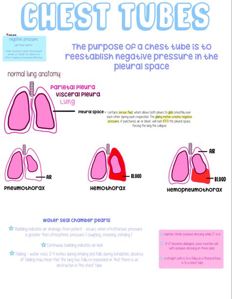 chest tube nursing cheat sheet, chest tube nursing, chest tube nursing notes, chest tube nursing care, respiratory, nursing respiratory cheat sheet Respiratory Medications Cheat Sheets, Respiratory Nursing, Nursing Respiratory, Respiratory Medications, Nursing Cheat Sheet, Paramedic School, Chest Tube, Nursing Cheat, Nurse Study Notes