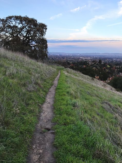 "The Path I Take" Trail through open space in Walnut Creek, California, USA offers spectacular views. This is Northwest view toward the East San Francisco Bay's largest suburban city of Concord, California, USA. Concord California, Walnut Creek California, Walnut Creek, San Francisco Bay, California Usa, The East, Open Space, North West, Getting Out