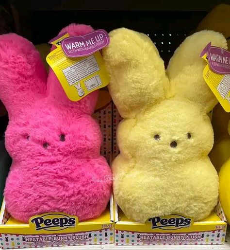 Peeps Aesthetic, Peeps Flavors, Peeps Marshmallow, Marshmallow Peeps, Dream Things, Kitty Art, Hello Kitty Art, Easter Peeps, Barbie Toys