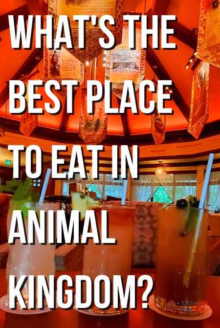 5 BEST Restaurants in Animal Kingdom You MUST Try in 2022 - ThemeParkHipster Tiffins Animal Kingdom Disney Dining, Animal Kingdom Restaurants, Animal Kingdom Dining, Kids Restaurants, Disney Florida, Animal Kingdom Lodge, Disney World Vacation Planning, Disney World Food, Disney Trip Planning