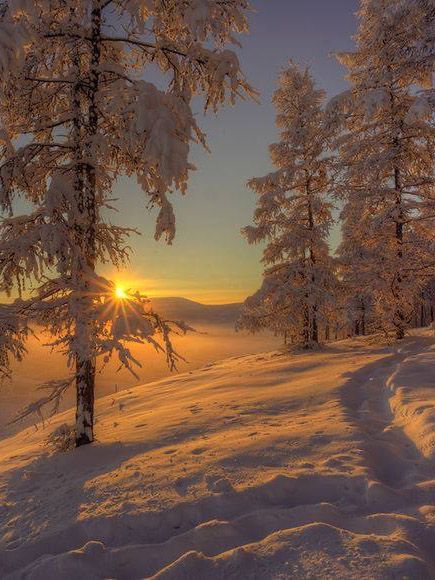 Nature Winter Drawings, Snow Photography, Snow Covered Trees, Winter Sunset, Picture Beautiful, Winter Painting, Winter Sun, Winter Scenery, Winter Beauty