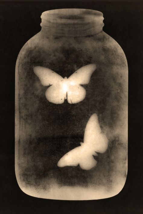 trapped? Creepy Butterfly Aesthetic, Entomology Aesthetic, Layer Drawing, Negative Space Drawing, Butterfly Shapes, Negative Space Art, Fresh Aesthetic, The Butterfly Effect, Seni Vintage