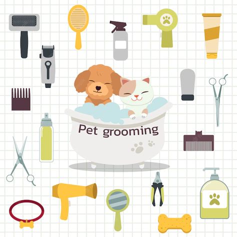 Premium Vector | The collection of pet grooming tool with poodle dog and cute cat in the bath with flat style. Pet Grooming Shop, Pet Grooming Business, Dog Character, Theme Board, Dog Grooming Shop, Dog Spa, Pet Design, Cute Cat Face, Pet Grooming Tools