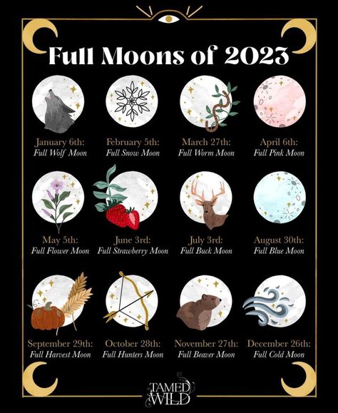 Special Moons 2023, Cool Moons Coming In 2023, New Moon Dates 2023, New Moons 2023, Important Witchy Dates 2023, August Moon 2023, Full Moon Dates 2023, Full Moon Calendar For 2023, Moon Calander 2023