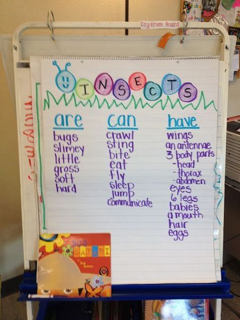 Insects: are, can, have... anchor chart ~ find facts in books and record them on the chart ~ Nice. :) Insect Unit, Insects Preschool, Bugs Preschool, Insect Activities, Thinking Maps, 1st Grade Science, Classroom Anchor Charts, Insects Theme, Creative Curriculum