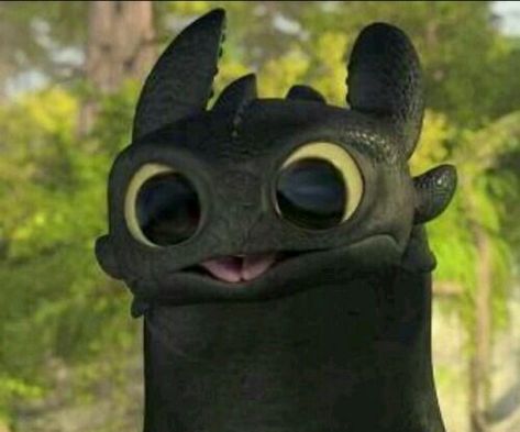 Cute Toothless, Train Dragon, Dragon Trainer, Toothless, Train Your Dragon, How To Train, How Train Your Dragon, How To Train Your Dragon, Httyd