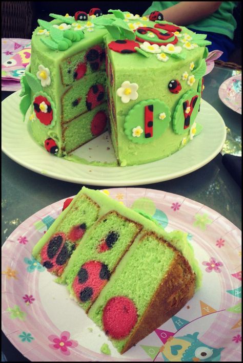 Bug cake how to Ladybird Cake, Surprise Inside Cake, Ladybug Cakes, Bug Cake, Ladybug Cake, Inside Cake, Pastel Cupcakes, Surprise Cake, Cute Baking