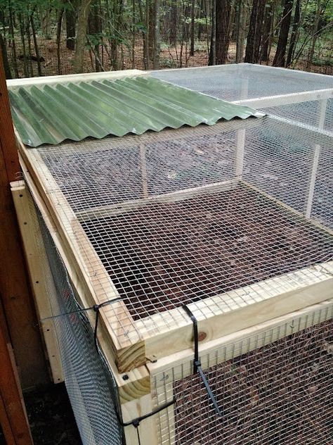 The Project Lady - DIY Easy & Inexpensive Chicken Run Adding A Run To A Chicken Coop, Diy Easy Chicken Run, Chicken Run With Pallets, Chicken Run Shade Ideas, Chicken Run Ideas Diy Cheap, How To Make A Chicken Run, Chicken Coop Garden Ideas, Chicken Yard Ideas Easy Diy, Chicken Shelter From Rain