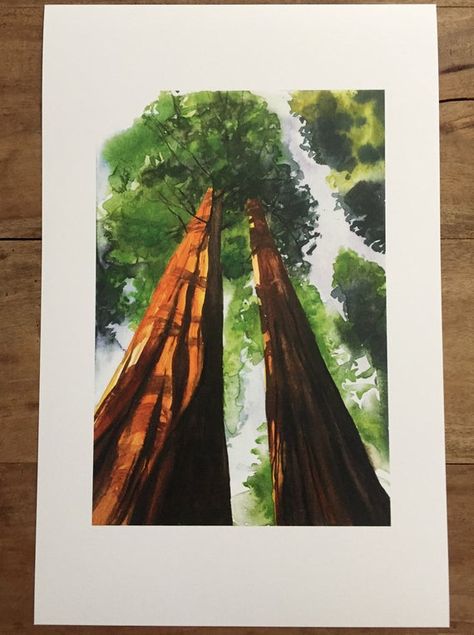 Sequoia Tree Painting, Sequoia Drawing, Sequoia Painting, Yosemite Watercolor, Watercolour Trees, Summer Art Projects, Tree Watercolor Painting, Sequoia Tree, Tree Sketches