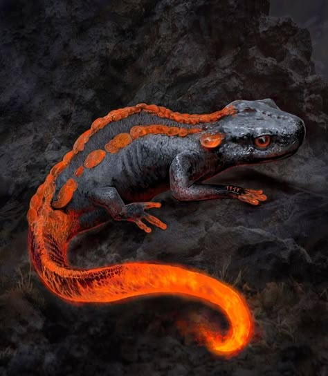 Beast Creature, Fantasy Beasts, Salamanders, Monster Concept Art, Fantasy Animals, Fantasy Monster, Fantasy Creatures Art, Mythical Creatures Art, Mythological Creatures