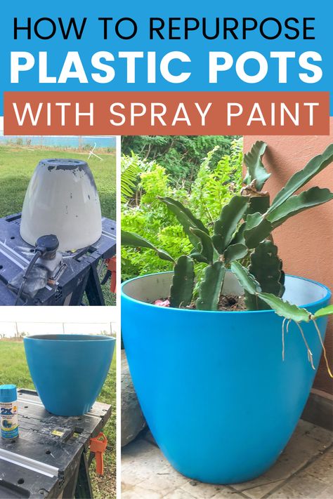 Easy painted planter DIy you can do in 1 hour. Using spray paint is budget-friendly and you can repurpose old plastic pots in no time. Colorful outdoor painted planters for your backyard decoration. Spray Paint Outdoor Planters, Repainting Planters Pots, Plastic Paint Bucket Ideas, Colorful Planters Pots, Painting Plastic Pots For Plants, Painting Plastic Plant Pots, Painted Plastic Pots, Painting Resin Flower Pots, Spray Paint Plastic Planters