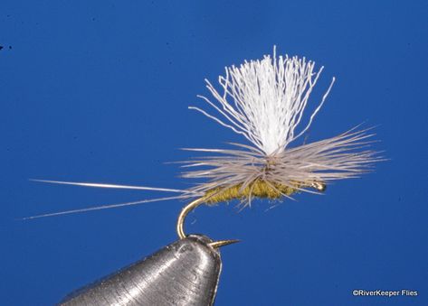 Blue Winged Olive, Fishing Hacks, Fly Fishing Flies Pattern, Pattern Sheet, Mayfly, Fishing Flies, Fly Tying Patterns, Fly Tying, Fishing Tips