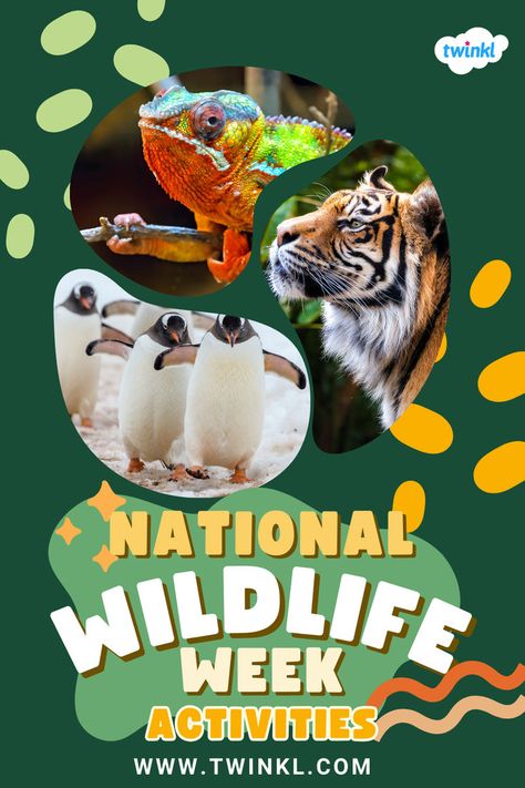 National Wildlife Week Activities Wildlife Week, Wildlife Day, Vocabulary Activities, Take A Walk, Math Activities, Walk On, A Walk, Educational Resources, Fun Activities