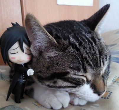 nuff said. Black Butler Funny, Black Butler Cosplay, Nendoroid Anime, Black Butler Sebastian, Black Butler 3, Black Butler Ciel, Sebastian Michaelis, Black Butler Anime, Black Butler Kuroshitsuji