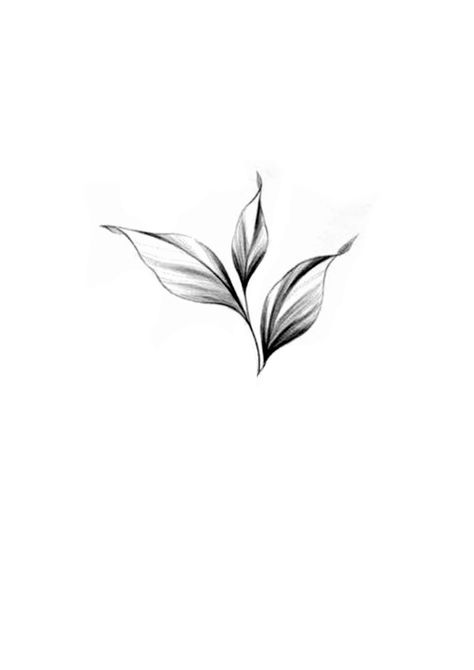 Two Leaf Tattoo, Peony Leaves Tattoo, Ornamental Leaf Tattoo, Leaf Tattoo Stencil, Chibi Mascot, Tattoo Leaves, Blatt Tattoos, Peony Leaves, Tattoo Shading