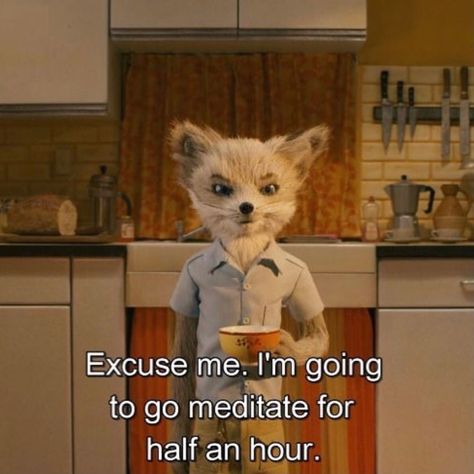 Film Anime, Fantastic Mr Fox, Septième Art, I Love Cinema, Mr Fox, Film Quotes, Wes Anderson, Excuse Me, Psych