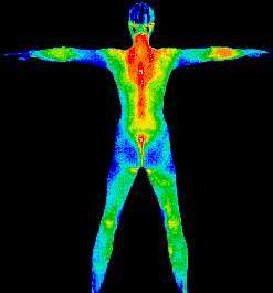 1 Thermal Imaging Camera, Heat Map, Tropical Animals, Body Scanning, Thermal Imaging, Music Therapy, The Human Body, Body Heat, New Wall