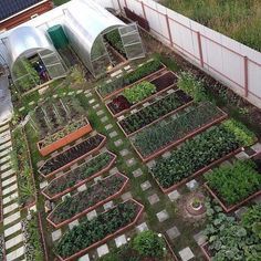 Plantarea Legumelor, Moderne Have, Potager Garden, Backyard Vegetable Gardens, Starting A Garden, Vegetable Garden Design, Garden Layout, Veggie Garden, Edible Garden