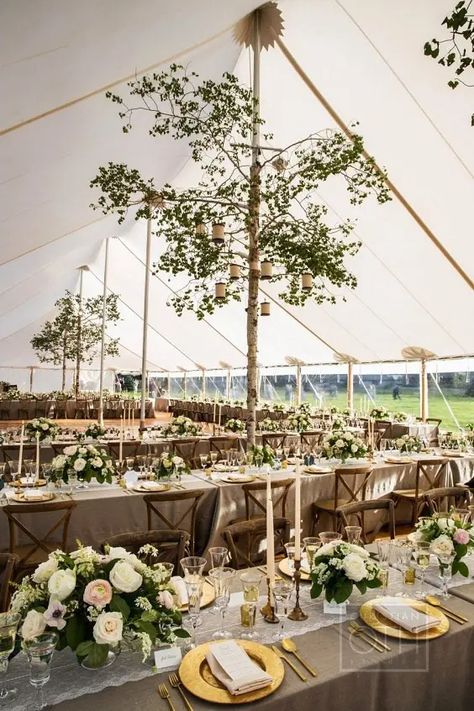 The 7 Wedding Tent Styles You Need to Know Wedding Tent Decorations, Long Table Wedding, Rustic Summer Wedding, Tent Decorations, Rustic Fall Wedding, Montana Wedding, Wedding Tent, Marquee Wedding, Outdoor Tent