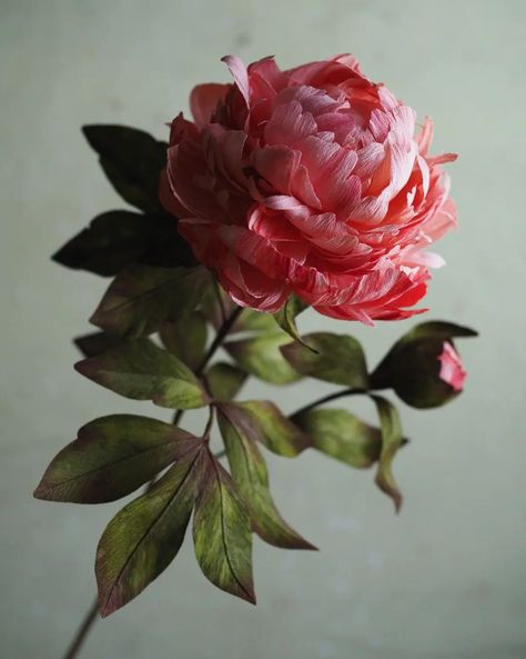 Karin Edlund | Make a peony leaf with me! #paperflowers #pappersblommor #paperpeony | Instagram Peony Leaf, Peony Tutorial, Peony Leaves, Tasha Tudor, Paper Peonies, Crepe Paper Flowers, Crepe Paper, My Garden, Paper Flowers