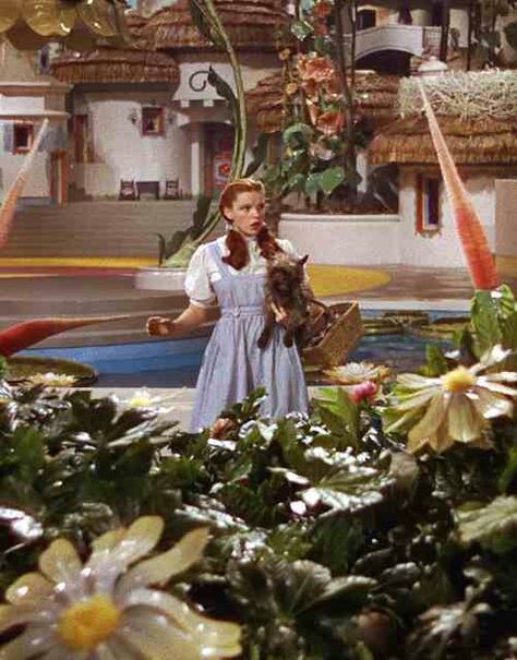 * Not In Kansas Anymore, Oz Series, Wizard Of Oz Movie, Dorothy Wizard Of Oz, Wizard Of Oz 1939, Dorothy Gale, Land Of Oz, The Wonderful Wizard Of Oz, Ruby Slippers