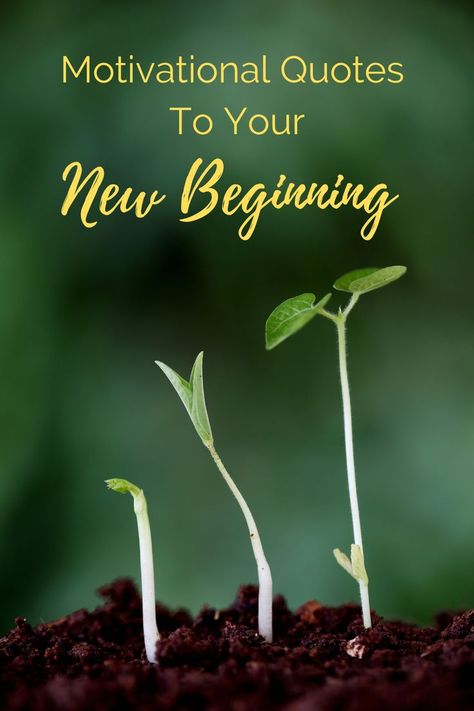 inspirational quotes to help you with your new beginning New Beginning Images, Two Word Quotes, Excited Quotes, Change Is Hard, New Beginning Quotes, New Beginning, New Quotes, Get Excited, New Beginnings