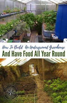 Underground Greenhouse, Greenhouse Design, Greenhouse Farming, Home Greenhouse, Indoor Vegetable Gardening, Greenhouse Plans, Aquaponics System, Diy Greenhouse, Garden Greenhouse