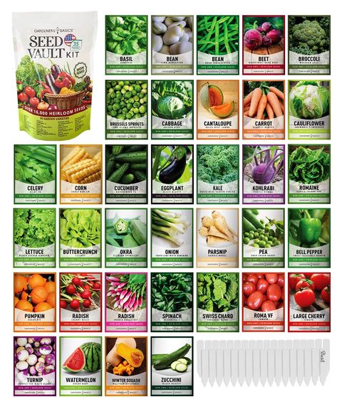 Desk Tech, Survival Pack, Beets Carrots, Seed Vault, Squash Zucchini, Easy Vegetables To Grow, Seed Kit, Survival Gardening, Garden Kit