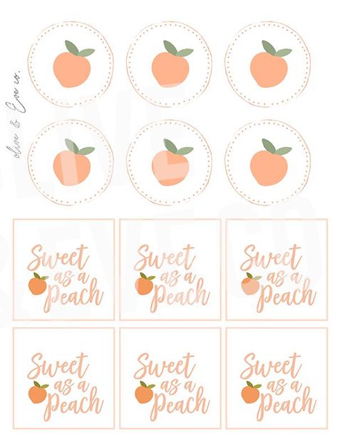 Peach Collection ♡ in 2022 | Peach, Frame logo, Beautiful print Sweet As A Peach, Brunch Decor, Peach Party, Peach Cake, Frame Logo, First Birthday Party Themes, Beautiful Prints, Bachelorette Party Themes, Sweet Peach