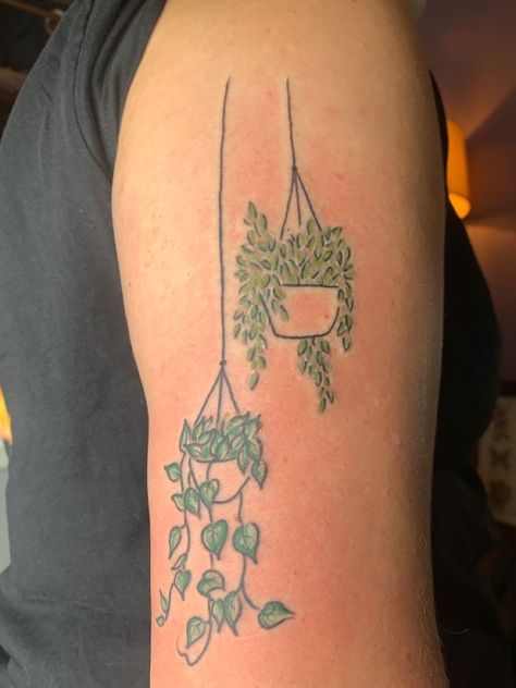 Hanging plants with color Hang Tattoo Women, Simplistic Plant Tattoo, Colored Plant Tattoo, Tattoos Of Plants, Tattoo Round Arm, Simple Plant Tattoos For Women, Trailing Plant Tattoo, Plant In A Pot Tattoo, Plant Themed Tattoos