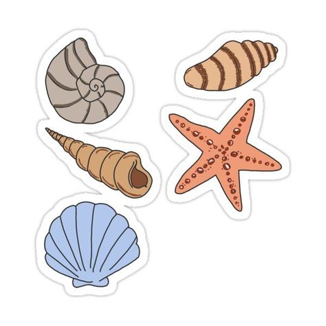 Shells Sticker by stickersbylaurt Cute Beach Stickers, Beach Stickers Printable, Coastal Stickers, Beach Stickers Aesthetic, Summer Stickers Aesthetic, Shells Drawing, Sticker Pack Printable, Beach Decals, Stickers For Hydro Flask