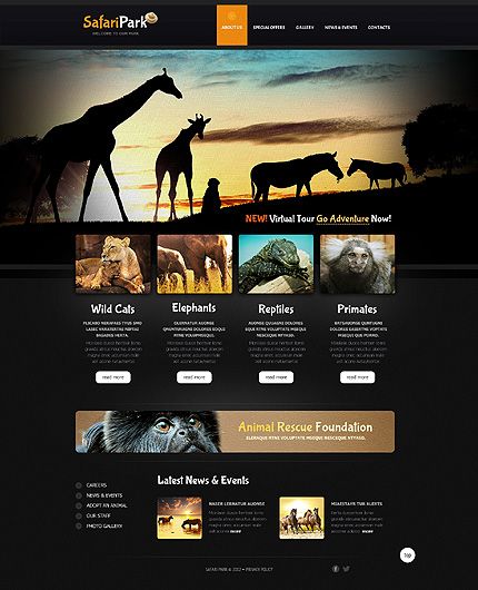 Safari Park Website Template #webdesign Safari Website, Travel Website Design, Safari Photography, Photography Website Templates, App Inspiration, Africa Photography, Wild Photography, Safari Chic, One Page Website