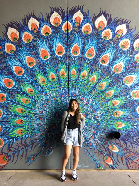 Interactive Street Art, Selfie Wall Painting, Selfie Mural Ideas, Selfie Point Ideas For Cafe, Selfie Point Ideas For Restaurant, Street Mural Art, Peacock Mural Art, Peacock Wall Mural, Wall Peacock Painting