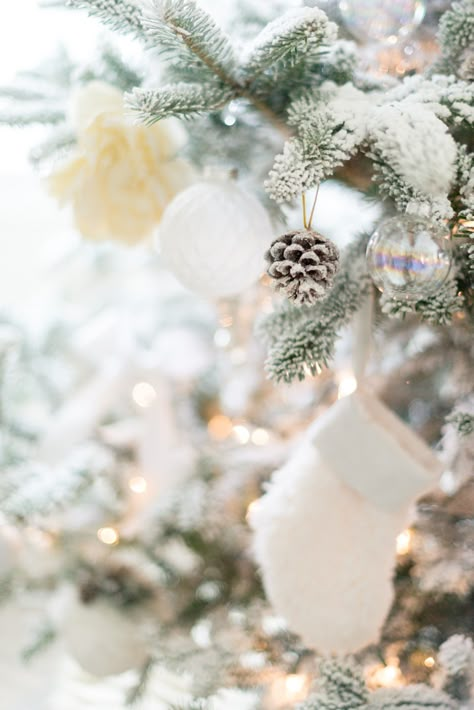 White Christmas Pictures, Winter White Aesthetic, White Xmas Tree, Christmas Apps, Christmas Phone Wallpaper, Cute Christmas Wallpaper, Cute Simple Wallpapers, Winter Wallpaper, Christmas Trends