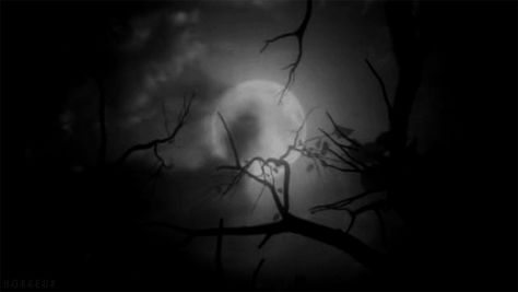 Black And White Animated GIF Horror Gif Wallpaper, Black And White Horror, Horror Movie Gif, Horror Gif Aesthetic, Horror Gif, Spooky Pixel Gif, Horror Gifs, Creepy Aesthetic, Moon Gif