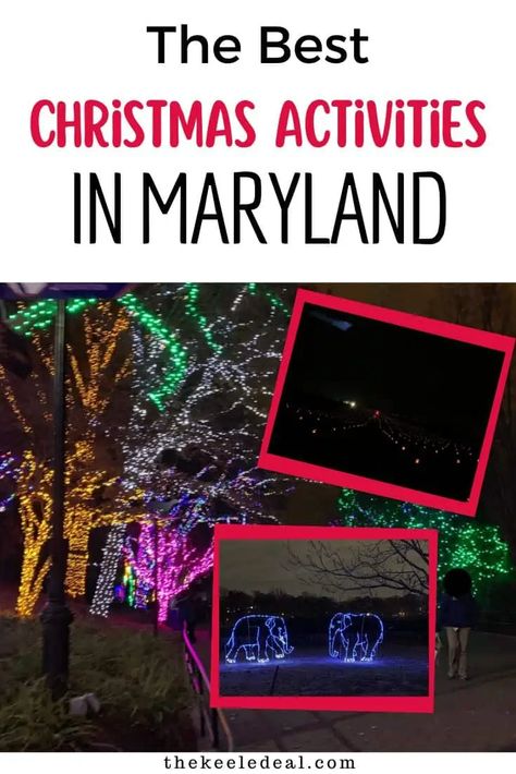 The Best Christmas Activities in Maryland (Events + Things to do) - The Keele Deal Things To Do In Maryland In Winter, Winter Light Festival, Cabin Trip, Fun Christmas Activities, Christmas Date, Christmas Light Displays, Fresh Christmas Trees, Christmas Events, Different Holidays