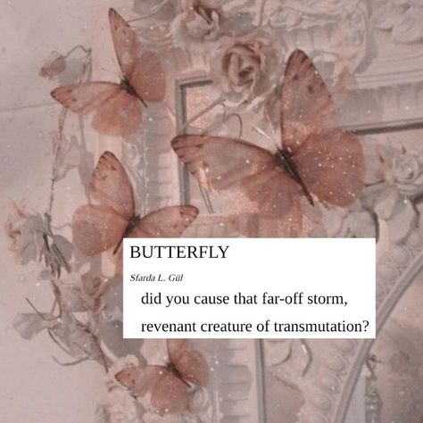 Butterflies Aesthetic Vintage, Butterflies Aesthetic, Pink Cottagecore, November Wallpaper, Rose Gold Aesthetic, Soft Pink Theme, Butterfly Pictures, Pastel Pink Aesthetic, Pink Themes