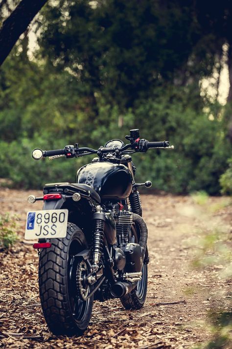 Triumph Street Twin 900, Triumph Street Twin Custom, Triumph 900, Motos Scrambler, Custom Triumph, Built Not Bought, Triumph Street Twin, Motorbike Art, Triumph Bikes