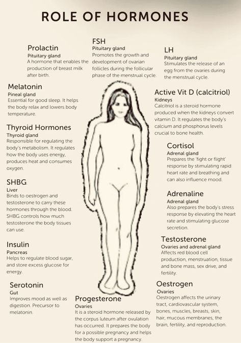 Hormone Nutrition, Nervus Vagus, Female Hormone, Biology Facts, Healthy Hormones, Menstrual Health, Feminine Health, Medical Knowledge, Hormone Health