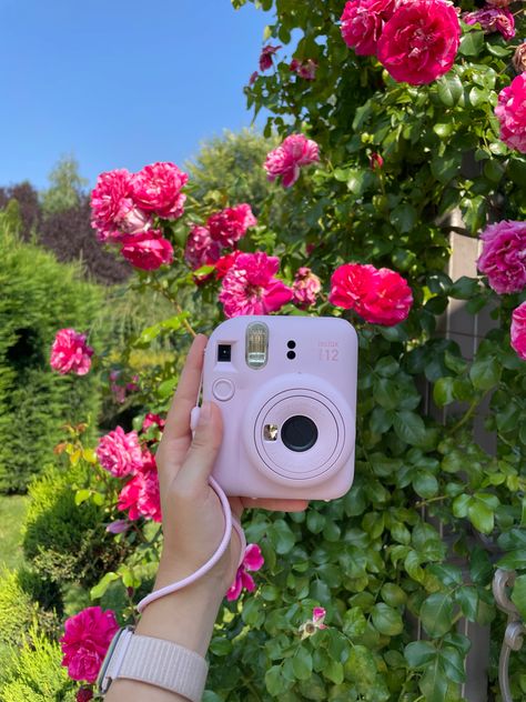 instax mini12 | fuji film | photography | pinky | roses | flowers | summer vibe Fuji Film, Instax Camera, Fuji Instax, Flowers Summer, Insta Stories, Making Memories, Story Time, Insta Story, Film Photography