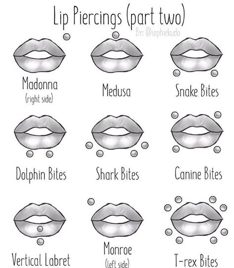 Angel Bites Piercing, Piercings Chart, Angel Bites, Snake Bite Piercing, Mouth Piercings, Piercing Chart, Scene Makeup, Lip Piercings, Face Piercings