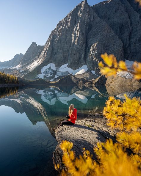 Fall in the Canadian Rockies is unmatched 🧡 Have you ever experienced fall in the Rockies? 🍂 The Rockies, Canadian Rockies, Have You Ever, Rocky