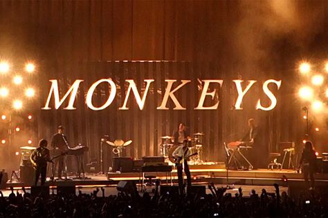 Alex Turner Wallpaper Laptop, Arctic Monkeys Wallpaper Laptop, Monkeys Wallpaper, R U Mine, Arctic Monkeys Wallpaper, 30 Year Old Man, Monkey Wallpaper, Wallpaper Hp, Color Aesthetic