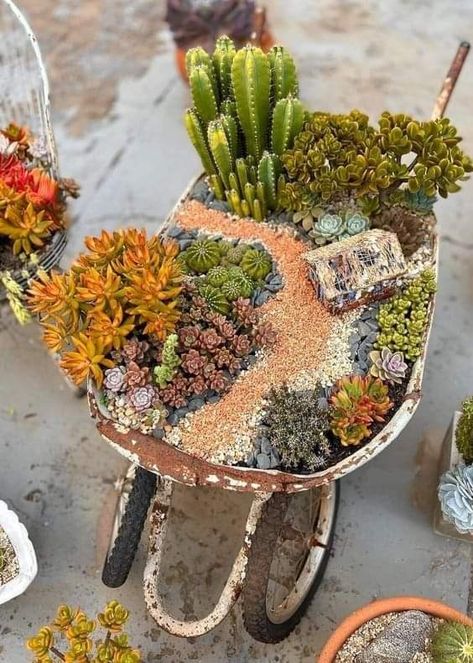 Succulent Bowls Outdoor, Succulent Arrangements Outdoor, Succulent Rock Garden, Succulent Wall Planter, Wheelbarrow Planter, Succulent Display, Succulent Planter Diy, Wheelbarrow Garden, Wheel Barrow