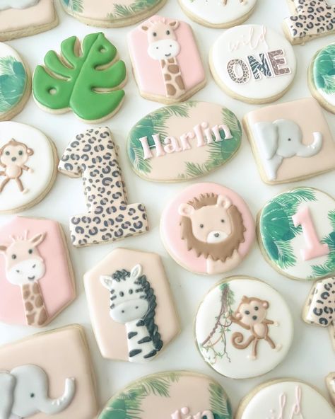 WILD ONE 🐒🐘🐆🦒🦓 #birthdaycookies #wildone #wildonebirthday #wildonecookies #firstbirthdaycookies #customcookies #royalicing #cookies #sugarcookies #sugarcookiesofinstagram Two Wild Birthday Party Cookies, Safari Animal Cookies Decorated, Two Wild Cookies Decorated, Wild One Cookies Girl, Two Wild Cookies Girl, Wild One Birthday Cupcakes, Wild One Cookies Decorated, Wild One Sugar Cookies, Two Wild Cookies