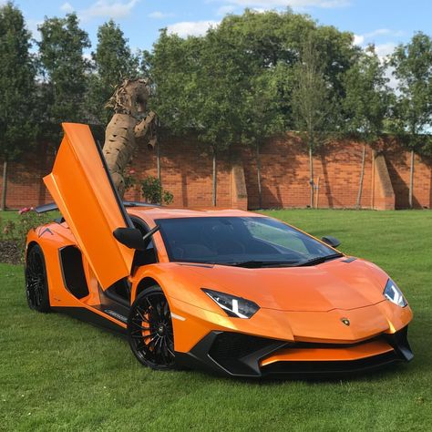 29 Likes, 1 Comments - Supercar Life (@supercarlife1230) on Instagram: “Repost from @itswhitenoise Orange you glad I said hi?  #itswhitenoise #lamborghini #aventadorsv …” Lamborghini Sv, Tmax Yamaha, Rolls Royce Motor Cars, Black Couple Art, Car Tattoos, Lamborghini Cars, Orange You Glad, Super Luxury Cars, Best Luxury Cars