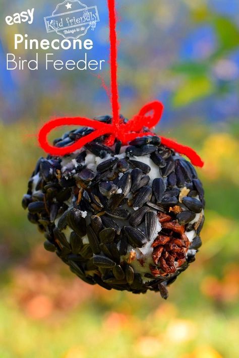 These DIY Pine Cone Bird Feeders using lard are simple bird feeders that pack a lot of fun and nature experience with the kids. Easy to make from home. www.kidfriendlythingstodo.com #birdfeeder #pineconebirdfeeder #easy #pine cone #lard #wintercraft #bird feeder #nopeanutbutter Pine Cone Bird Feeder, Suet Cakes, Bird Seed Ornaments, Diy Blanket Ladder, Garden Therapy, Diy Pinecone, Diy Bird Feeder, Best Easy Recipes, Diy Birds