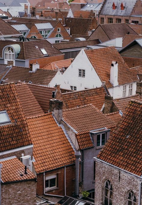 Brugge Belgium, Roof Tops, In Bruges, Starship Troopers, Bruges Belgium, Roof Architecture, Roof Top, Rooftops, Painting Photos