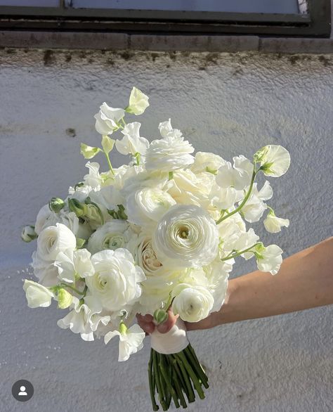 White And Pastel Bridal Bouquet, Hydrangea Arrangements Wedding, Delphinium Bouquet, White Hydrangea Bouquet, Simple Wedding Bouquets, Bridal Bouquet Flowers, White Bridal Bouquet, White Wedding Bouquets, Bride Flowers