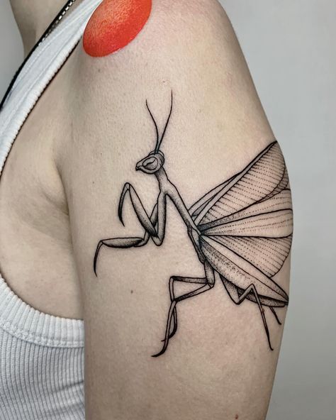 Prey Mantis, Praying Mantis Tattoo, Mantis Tattoo, Interesting Tattoos, Plant Tattoo, Leg Sleeve, Praying Mantis, Sleeves Ideas, Subtle Tattoos